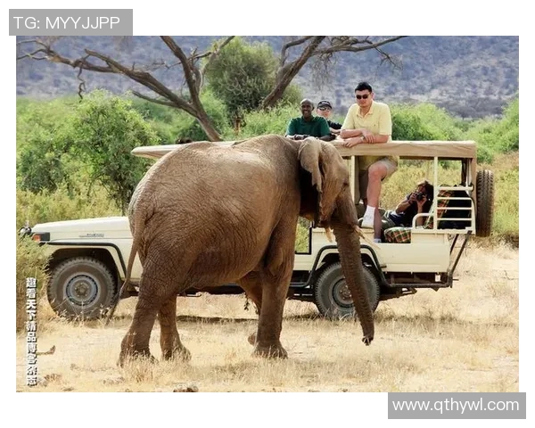 拯救犀牛姚明的使命与责任呼唤社会的关注与行动
